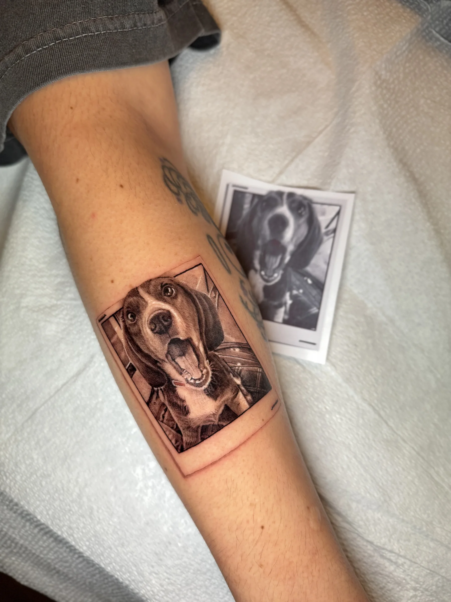 Beagle portrait tattoo next to the reference photo
