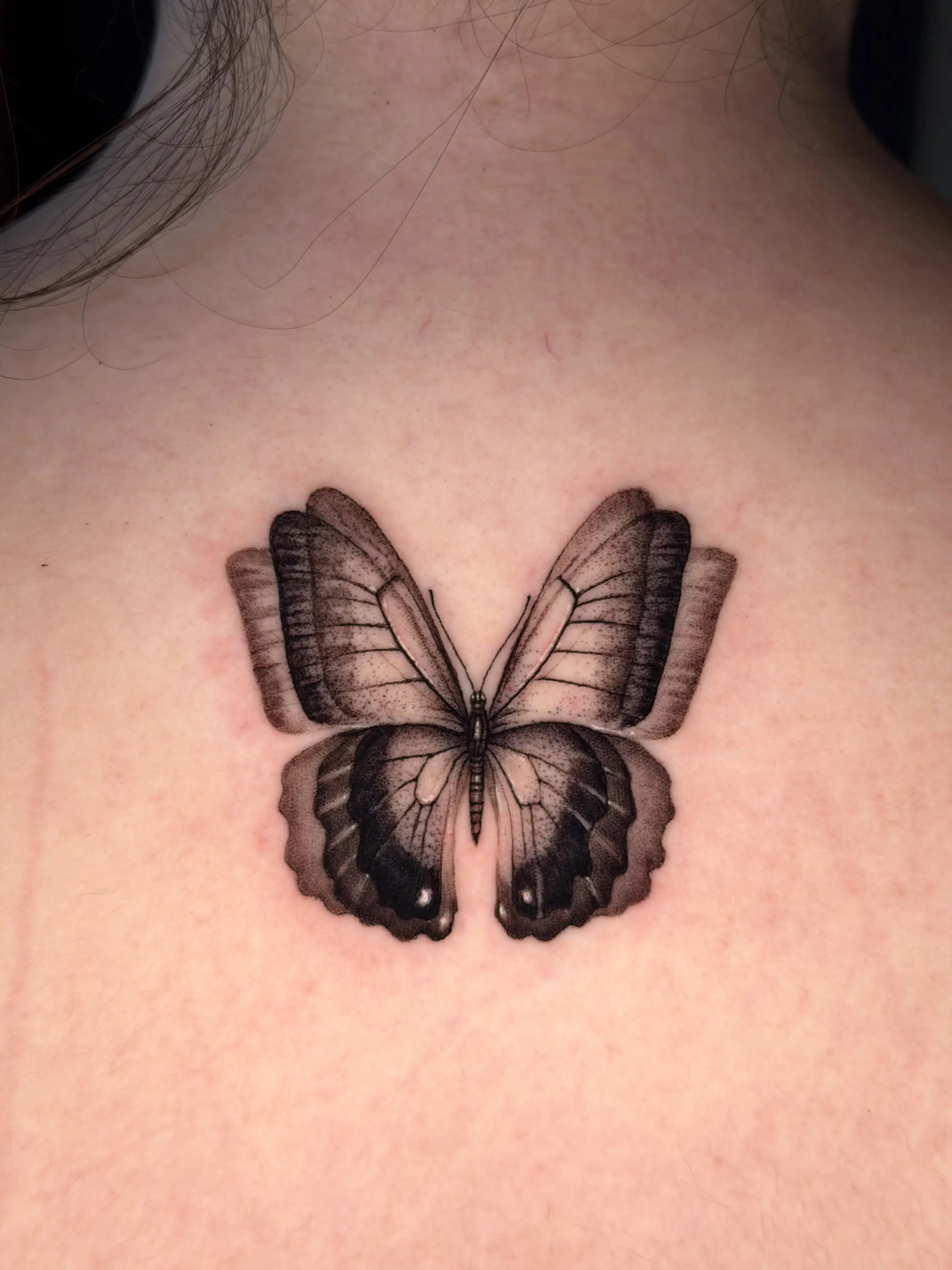 Butterfly tattoo between the shoulder blades