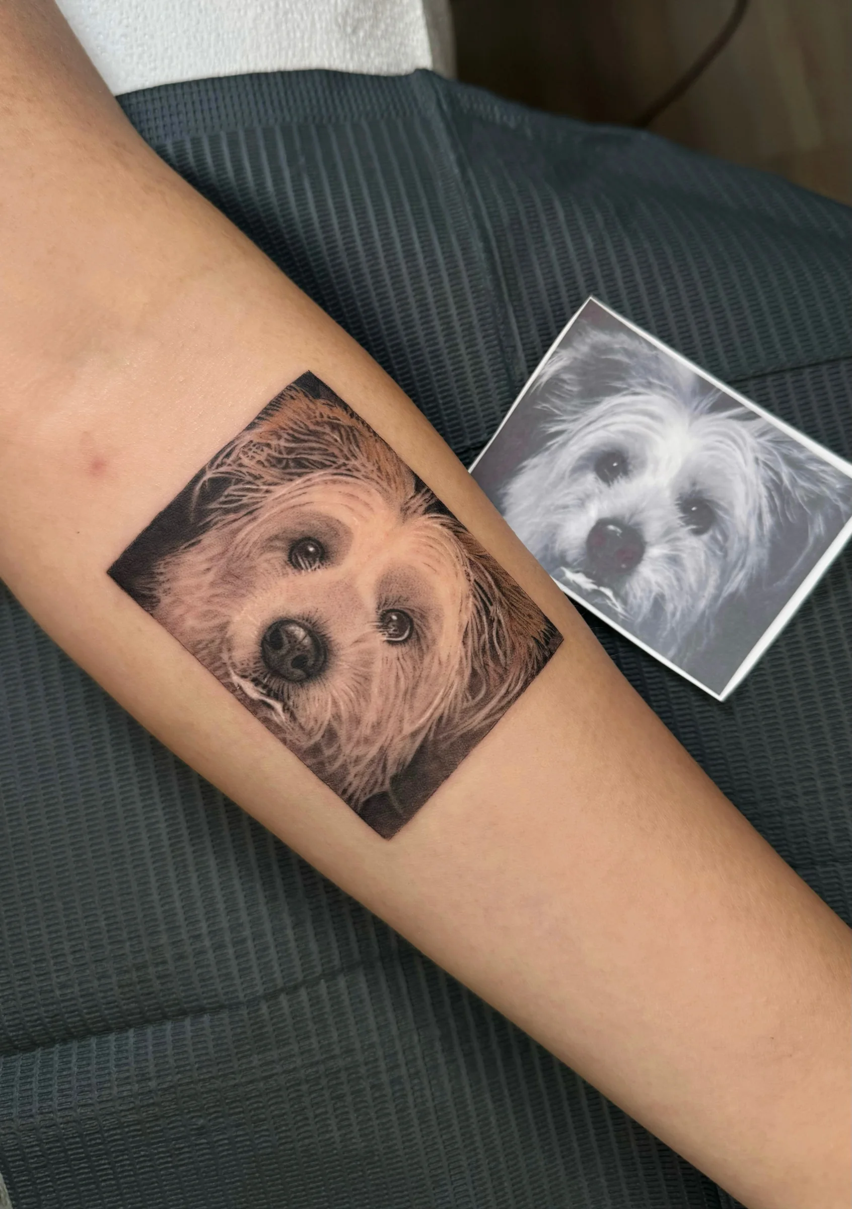 Dog portrait tattoo next to the printed reference photo