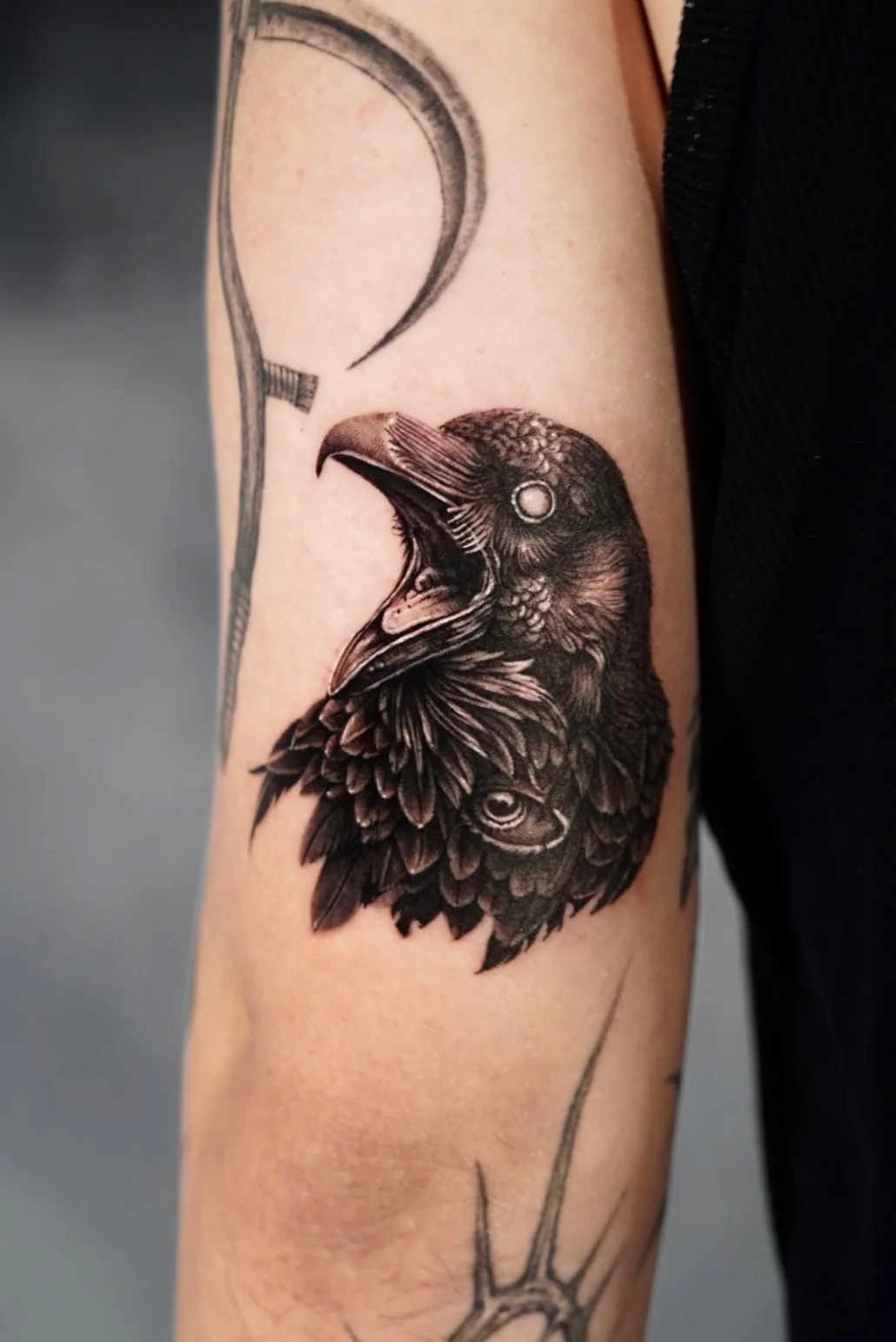 Raven tattoo in micro realism on an upper arm