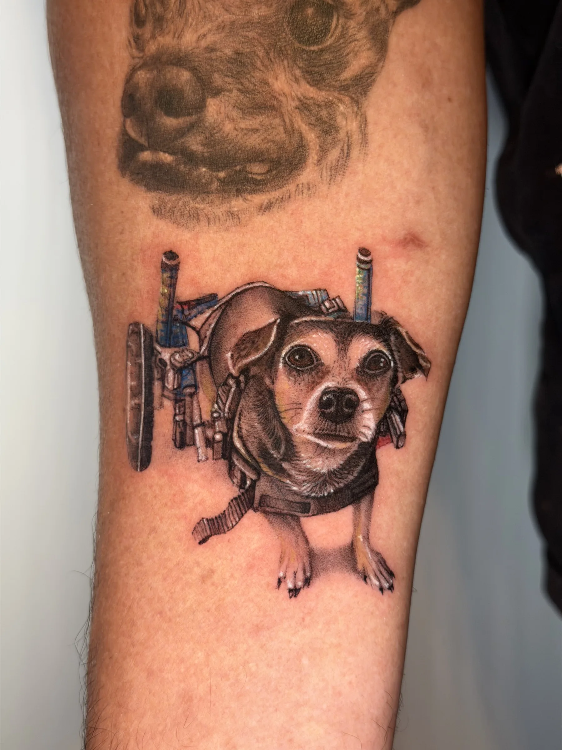 Small dog portrait tattoo on a forearm